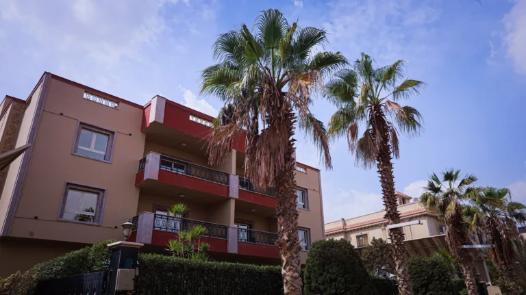 Palm garden at The Villa 604 boutique hotel, New Cairo
